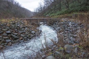 鉄格子型の治山ダムを上流から見る。鉄格子を塞いだ石や流木を取り除き、水が流れるように砂利を左右に振り分けている。メンテナンスが必要な治山ダムである。
