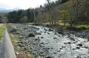 岩尾別川は急峻な川で、巨石が多いハズなのだが…巨石が減少している。また、苔むした石は見当たらない。この姿は上流にダムがあることの目印になる。また、川底が下がり、左岸が崩れて川幅が広がり続けている。