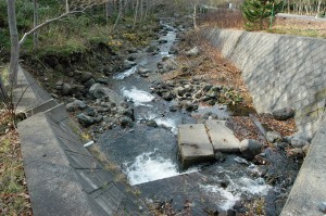 更に上流の橋。川底が下がり、川岸が崩れ続けている。撮影：2009年10月３1日