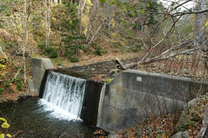 川底が下がった川をたどるとダムがある。やっぱりありました岩尾別川の一番上にある治山ダム。撮影：2009年10月３1日