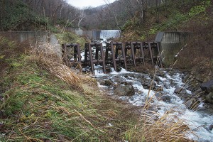 治山ダムの中央に鋼鉄製アングルを入れてある。間口が広く見えるが、巨石や流木で塞がれば、砂利も止められ、全面コンクリートの治山ダムと同じになる。メンテナンスが必要な構造である。