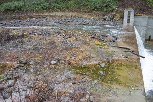 治山ダムには上端まで一杯に砂利が貯められていた。