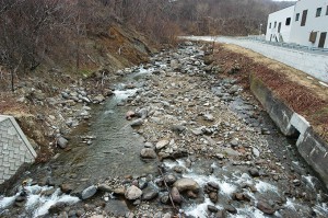 急峻な川なのに、巨石が少なく、小ぶりの石が目立つ。川底は下がり、左手の山の斜面がズリ落ちている。