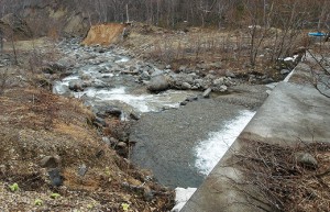 治山ダムの直下。巨石が少ないことが分かる。石の量も少なく、岩盤河床になっていくのだろう。