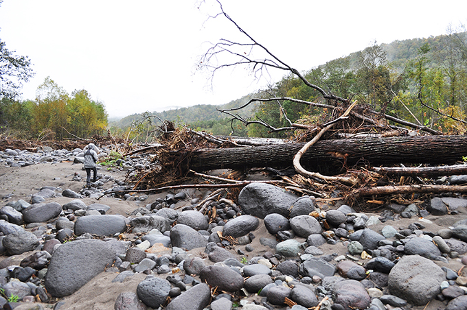 根がついたままの巨木が河原に散乱していた。